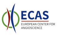 Logo des European Center for Angioscience (ECAS) mit stilisierten Gefäßstrukturen in Grün, Rot und Blau.