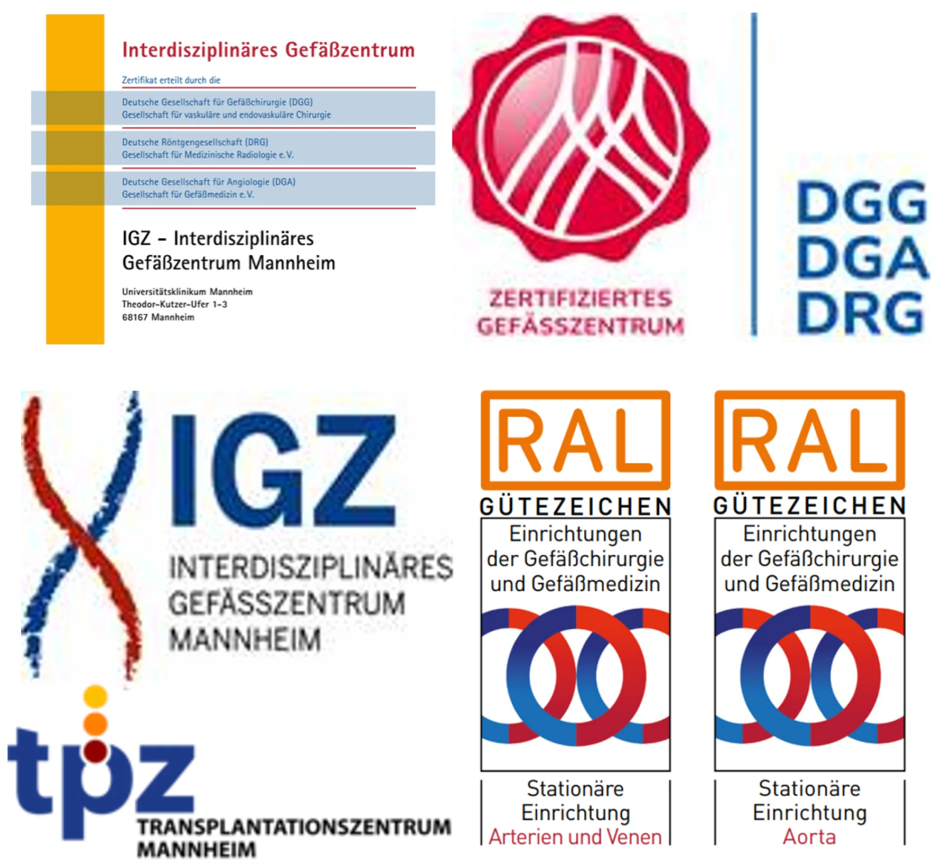 Logos des Interdisziplinären Gefäßzentrums und Transplantationszentrums Mannheim mit Zertifikaten und Gütezeichen.