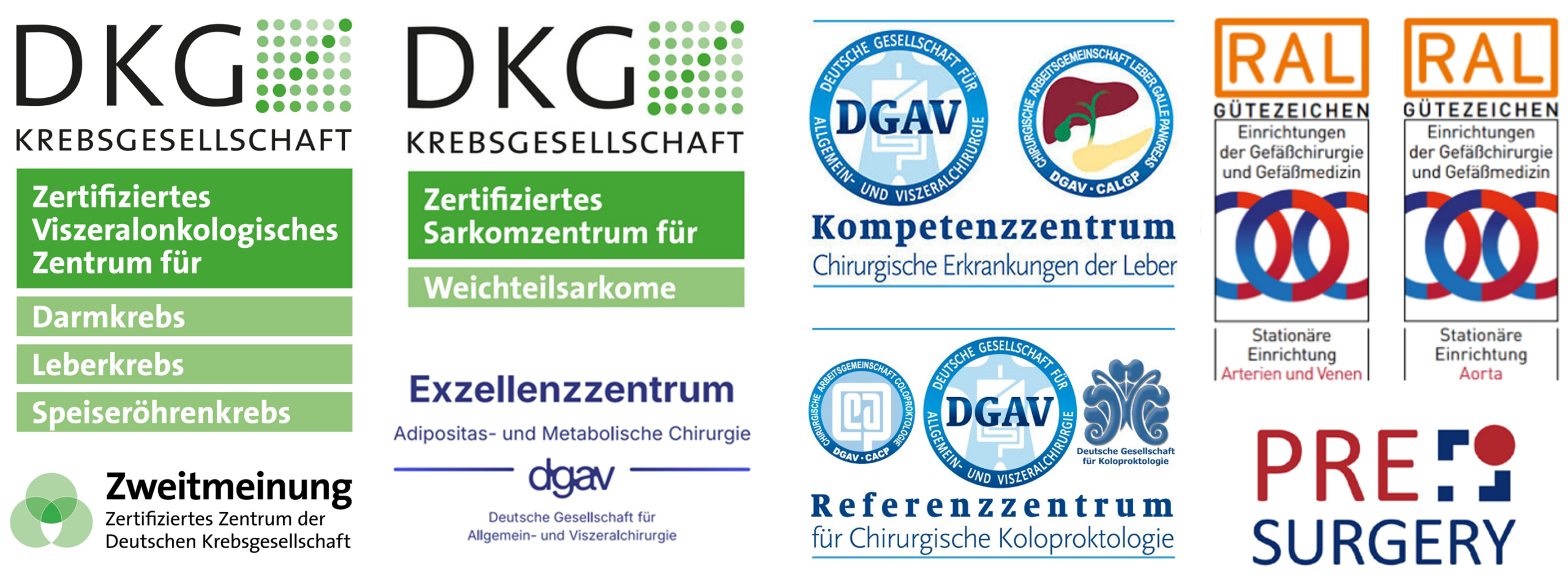 Übersicht mehrerer medizinischer Zertifizierungs- und Qualitätssiegel: DKG-Zertifizierungen für viszeralonkologisches Zentrum (Darm-, Leber-, Speiseröhrenkrebs) und Sarkomzentrum (Weichteilsarkome), DGAV-Kompetenzzentrum Leberchirurgie, DGAV-Referenzzentrum Koloproktologie, DGAV-Exzellenzzentrum Adipositas- und Metabolische Chirurgie sowie RAL-Gütezeichen für Einrichtungen der Gefäßchirurgie und Gefäßmedizin (Arterien, Venen, Aorta).