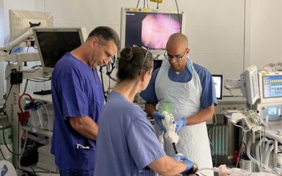 Meilenstein in der endoskopischen Adipositastherapie